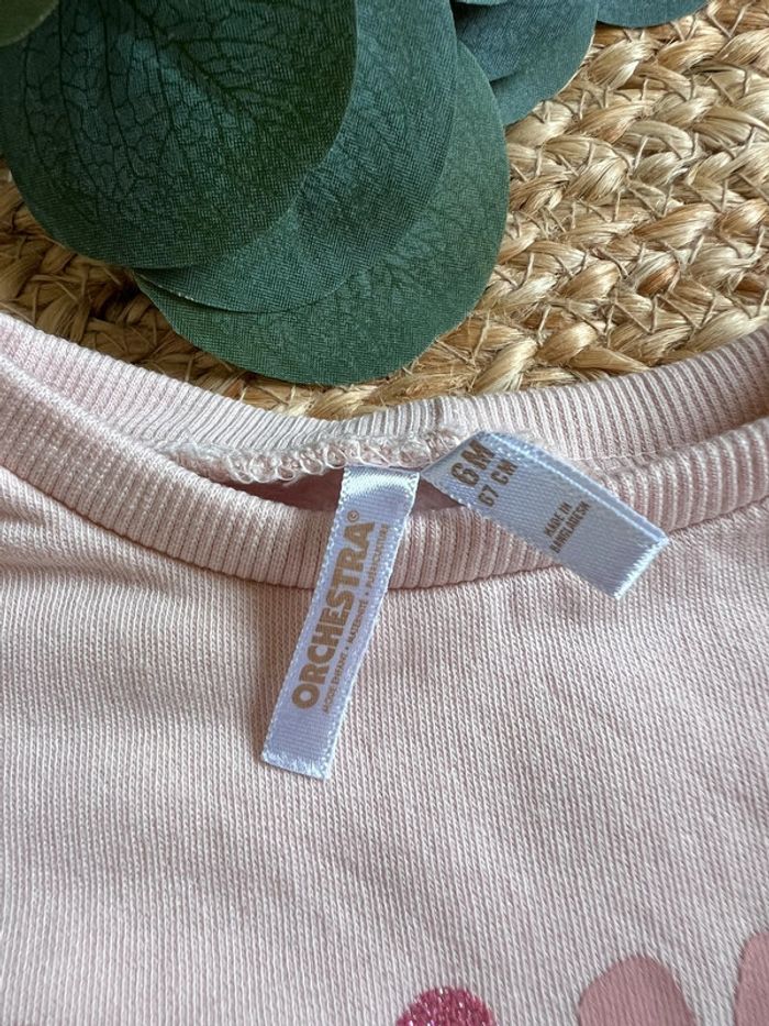 Ensemble survet 6m orchestra - photo numéro 2