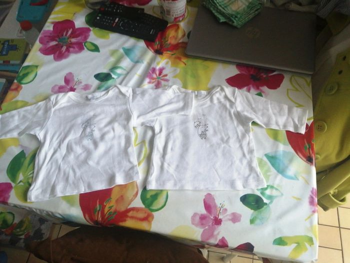 2 tee-shirts bébé - photo numéro 5