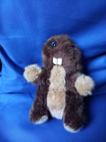 Jolie marmotte en peluche