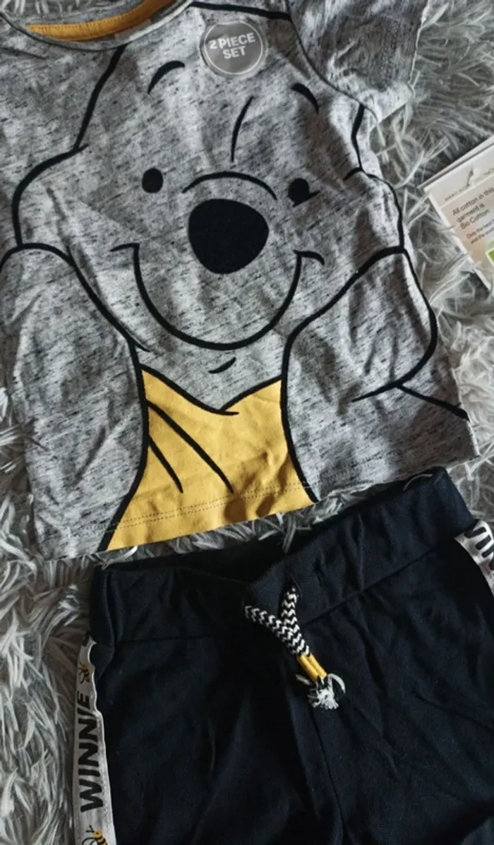Ensemble Winnie l'ourson 🐯 - photo numéro 2