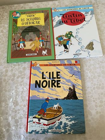 Lot de 3 BD s les aventures de  tintin