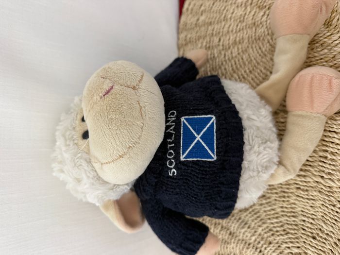 doudou mouton pull scotland