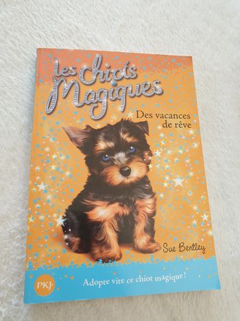 Livre Les chiots magiques n°12