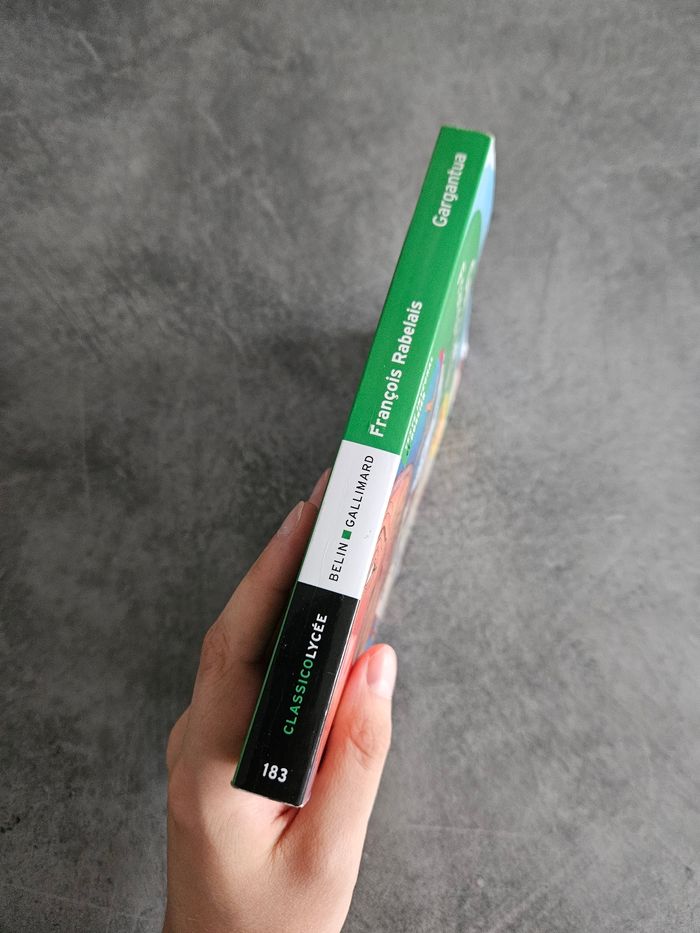 Livre scolaire "Gargantua" de François Rabelais - Edition BAC - photo numéro 3