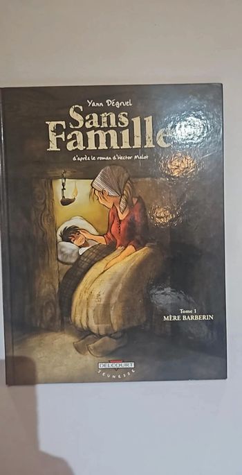 Bd sans famille tome 1