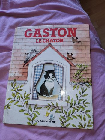 Gaston le chaton