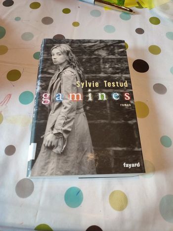 Gamine roman de Sylvie testud