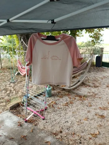 Tee-shirt court rose dinosaure shein