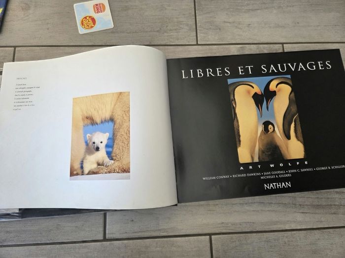 Livre animaux - photo numéro 4