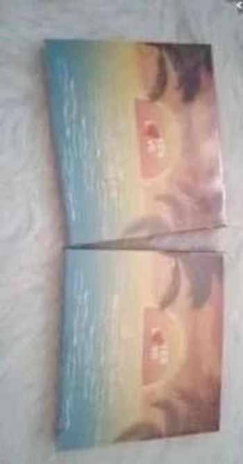 lot de 2  palettes