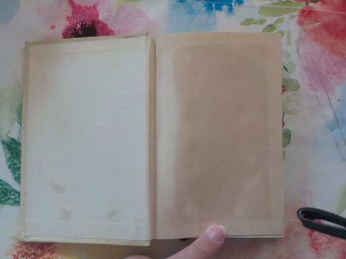 RAPHAEL GRAZIELLA d'A. de LAMARTINE Ed. Nelson années 30 - photo numéro 4