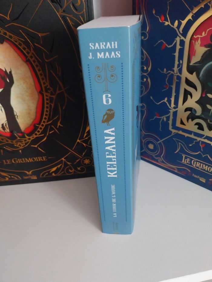 Roman Keleana tome 6 La Tour de l'Aube- Sarah J. Maas La Martinière - photo numéro 3