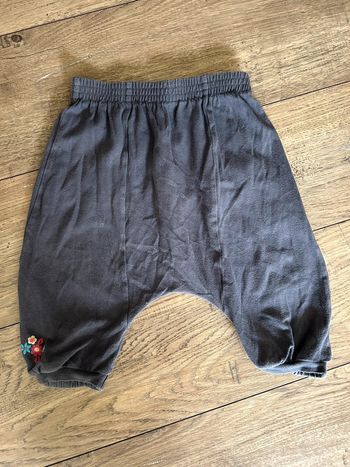 Sarouel Orchestra 18 mois