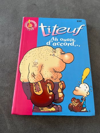 Livre bibliothèque rose titeuf ah ouais d’accord
