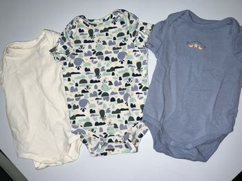 Lot de 3 jolis bodys