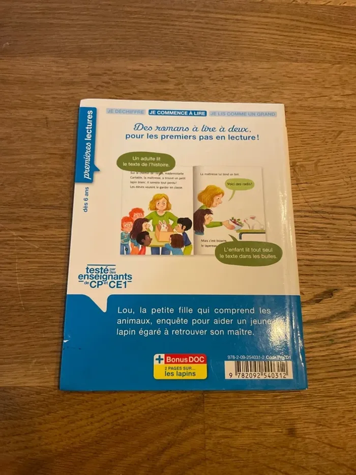 Livre premières lectures Les animaux de Lou Reviens Petit Lapin ! - photo numéro 3