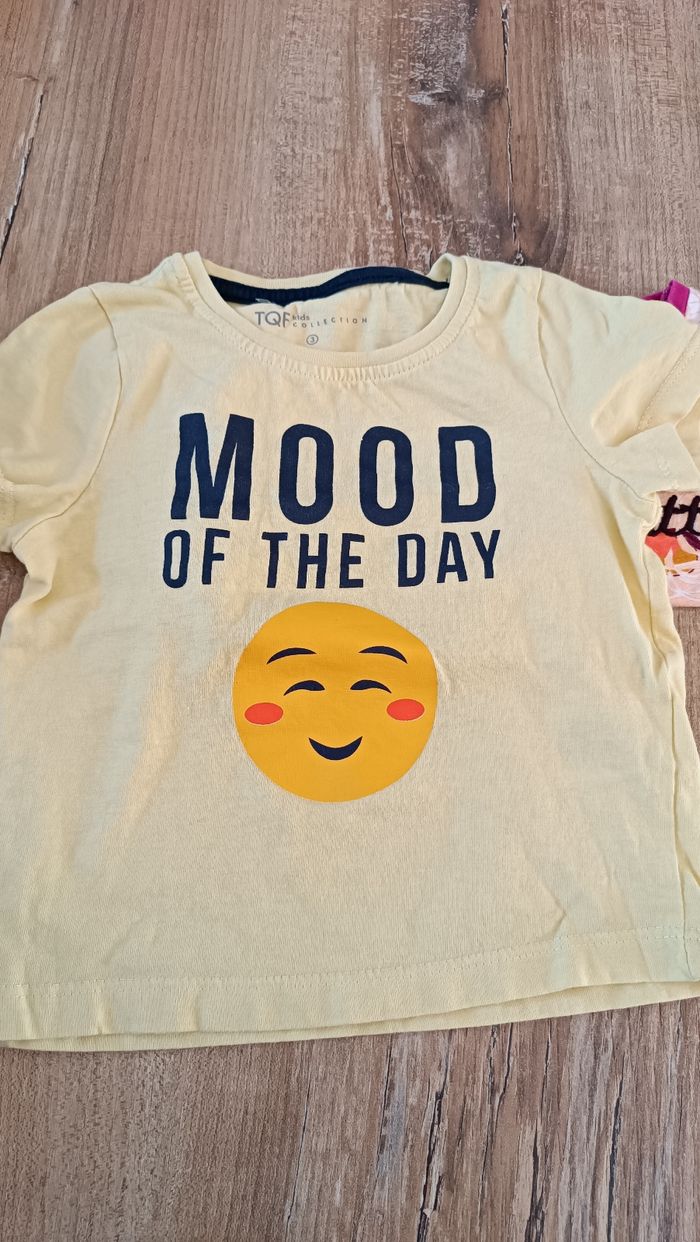 Lot de tee-shirts TQF collection - photo numéro 2