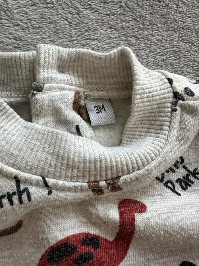 Sweat dinosaures - 3 mois - photo numéro 3