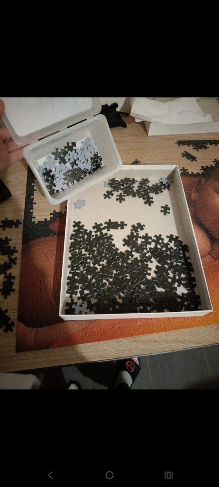 Puzzle - photo numéro 5