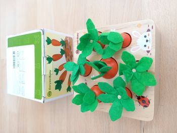 Jeu de formes potager 🥕