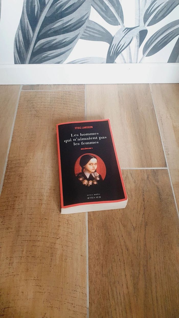 Les hommes qui n'aimaient pas les femmes