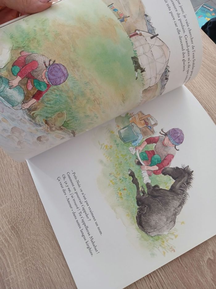Livre enfant mon petit cheval Mahabat - photo numéro 8