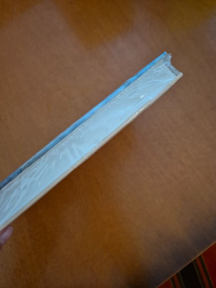 Livre trente mille jours - photo numéro 3