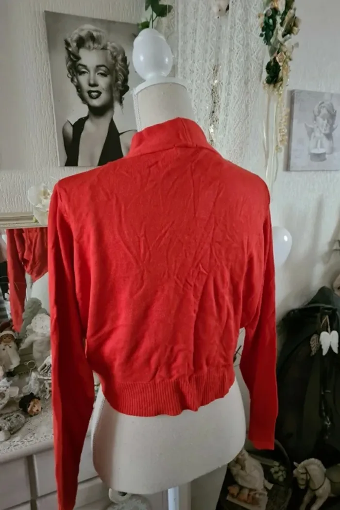 Joli gilet orange foncé Jacqueline Riu Taille 4 Neuf
Étiquette prix d achat 16.95 €
Manches longues - photo numéro 3
