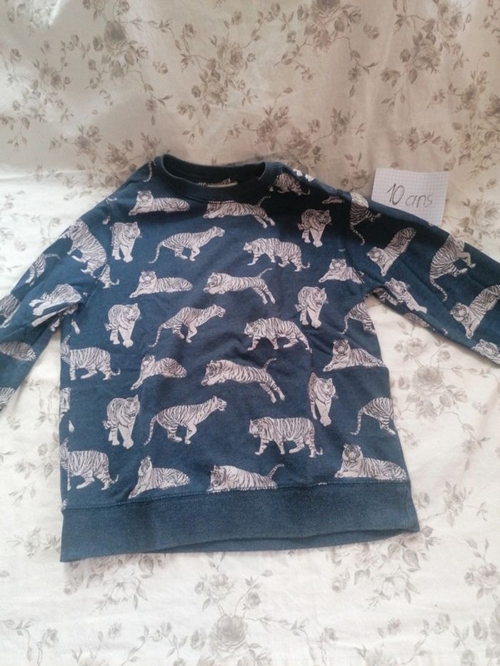 Pull zara 10 ans garçon tigre