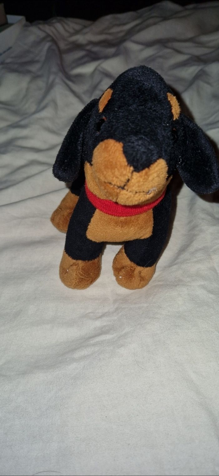 Petit chien noir - photo numéro 3