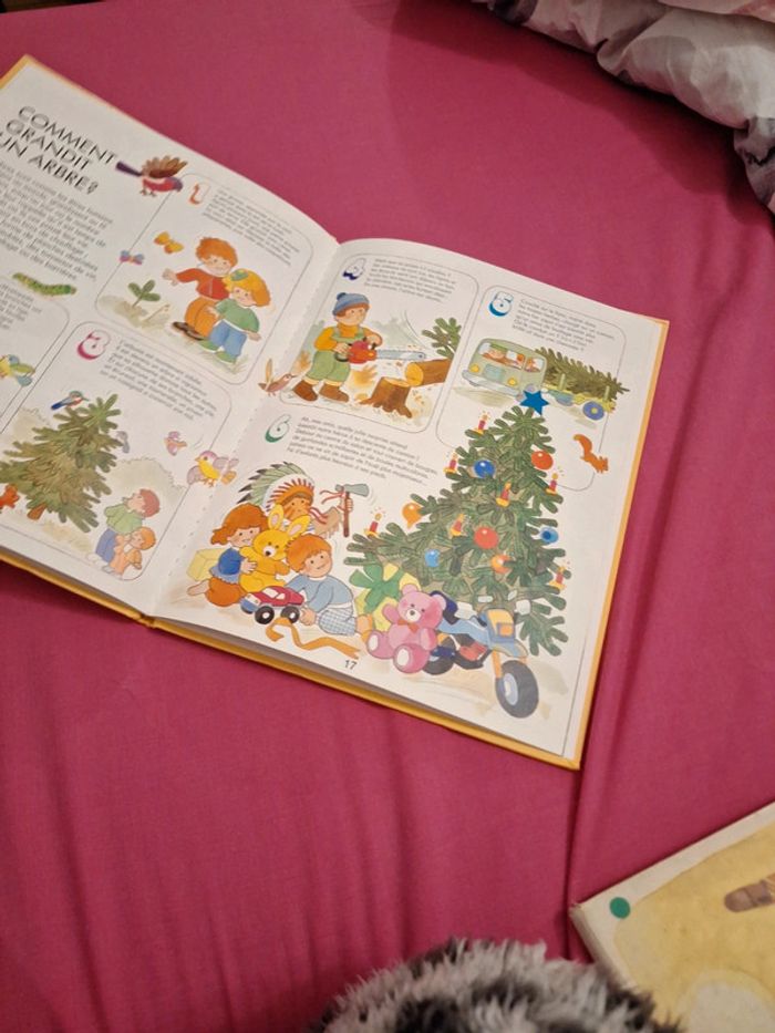 Les plantes - photo numéro 2