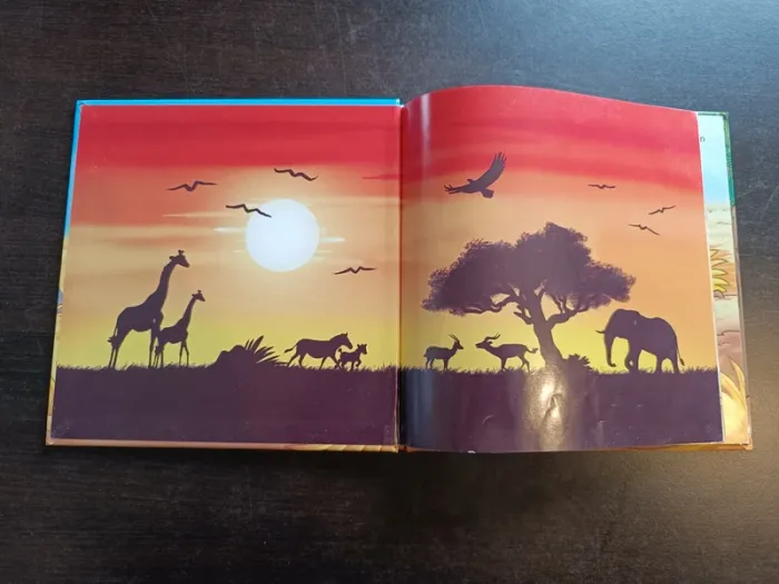 Livre LE FABULEUX VOYAGE DE ZAKI LE ZÈBRE - photo numéro 2