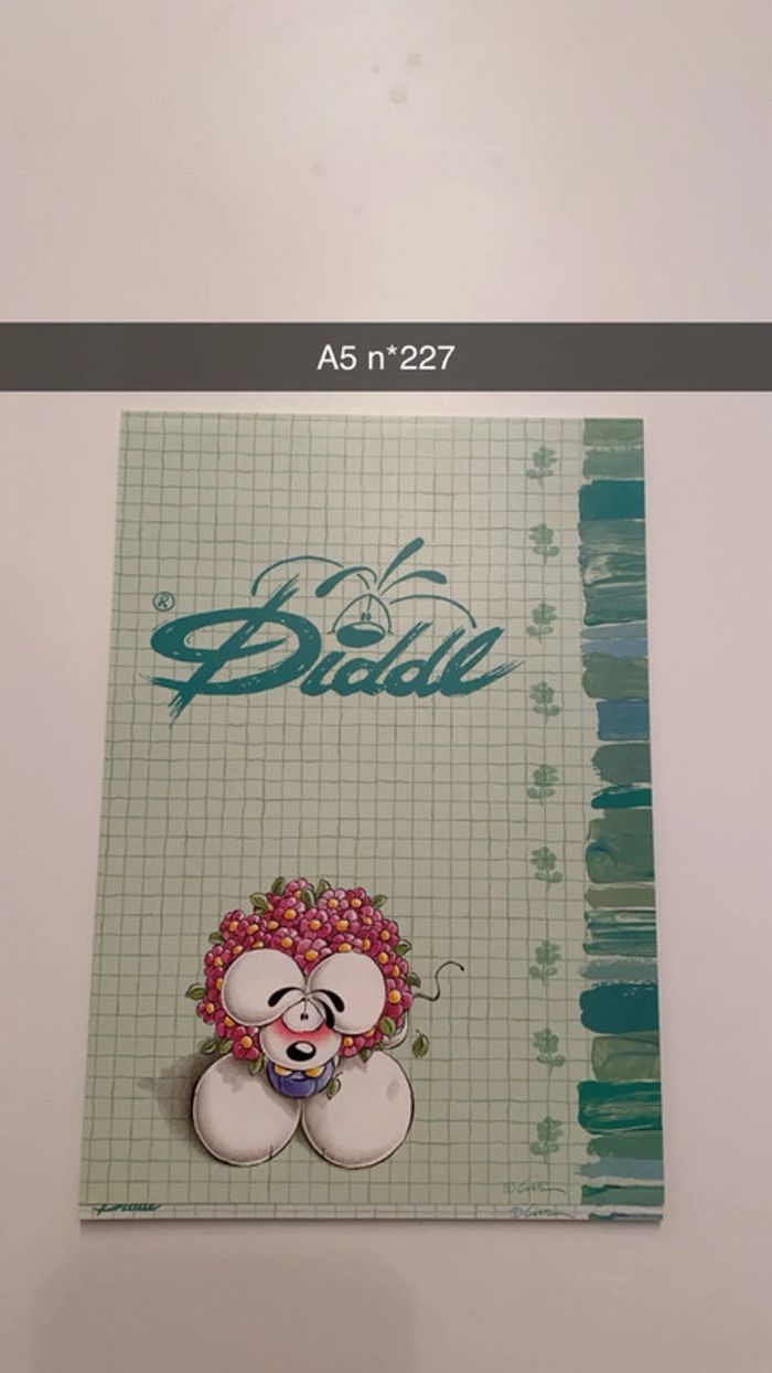 Feuille diddl A5 - photo numéro 9