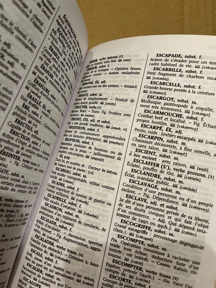 Dictionnaire - photo numéro 3