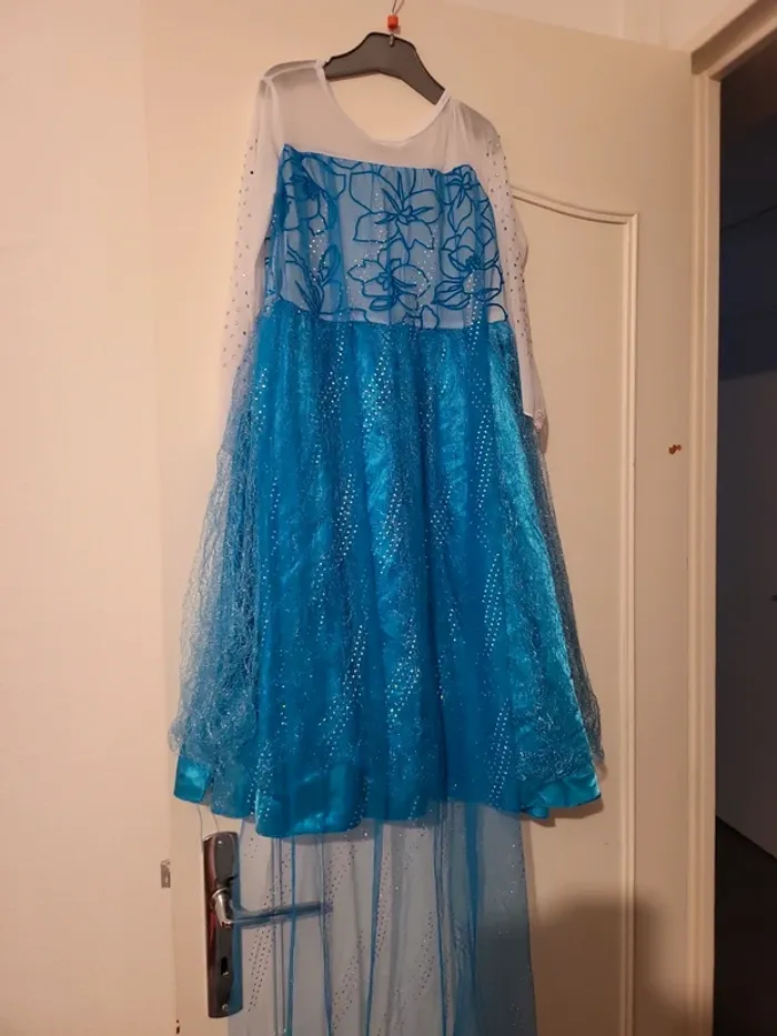 Déguisement reine des neige 10 ans - photo numéro 2