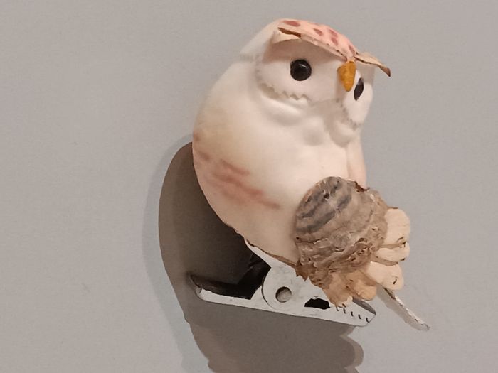 Chouette pince - photo numéro 8