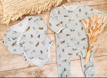 Pyjama et bodie 12mois gris motif chien skate