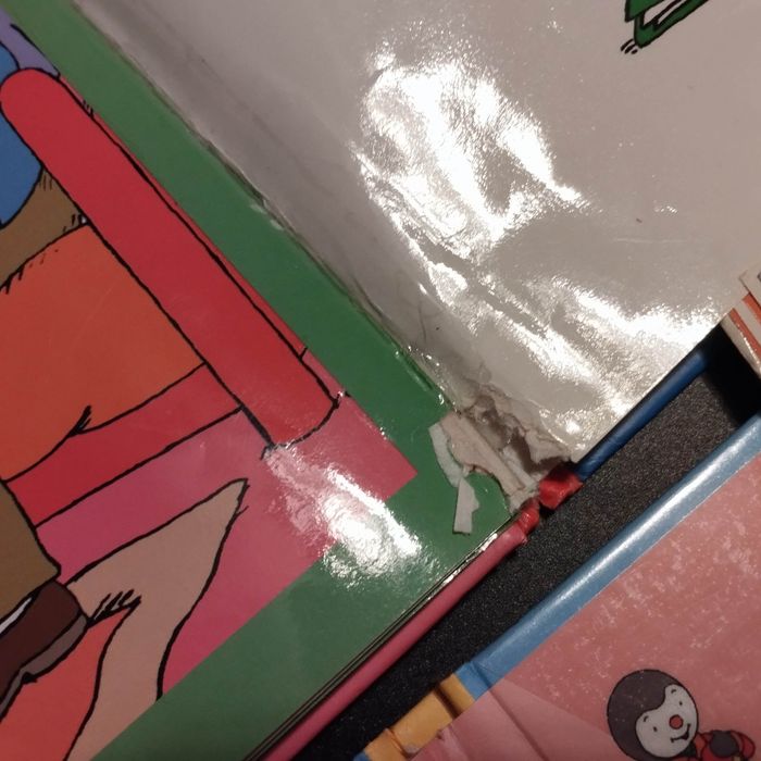 Lot de 4 Livres enfant Nathan T'choupi - photo numéro 5