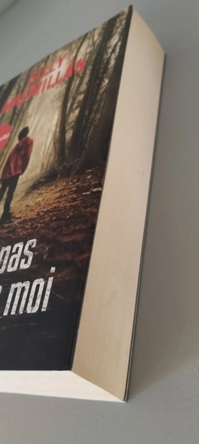 Ne pars pas sans moi. Gilly Macmillan - photo numéro 5