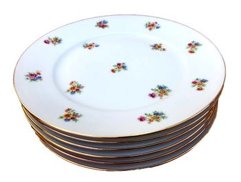 6 assiettes plates anciennes  Porcelaine  P.N France