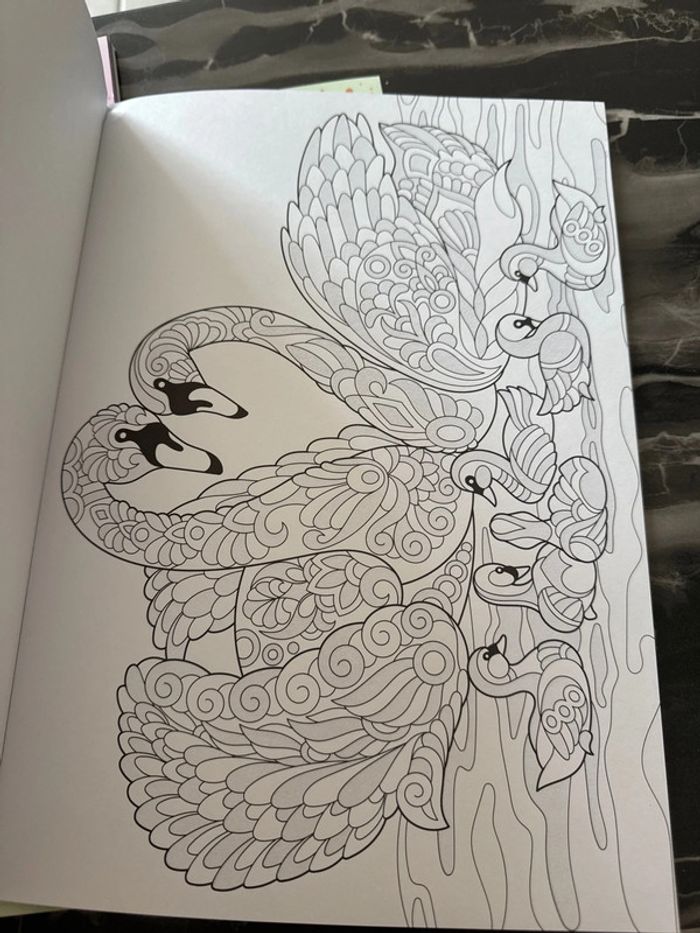Lot cahier de coloriage - photo numéro 9