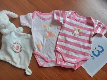 Lot de 3 bodies manches courtes