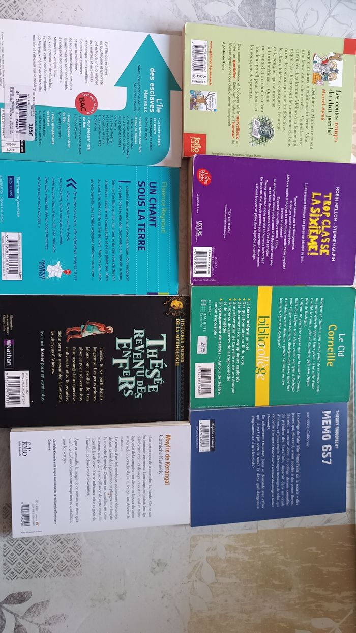 Livre collège lycee - photo numéro 2