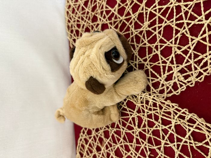 Keel Toys Peluche Chien PUGSLEY