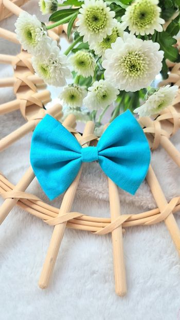 Barrette 