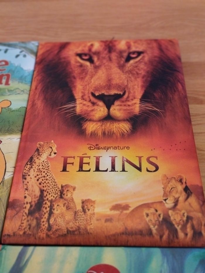 Lot Livres enfant Disney - photo numéro 4
