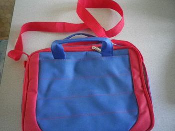 SAC POUR RANGEMENT DS