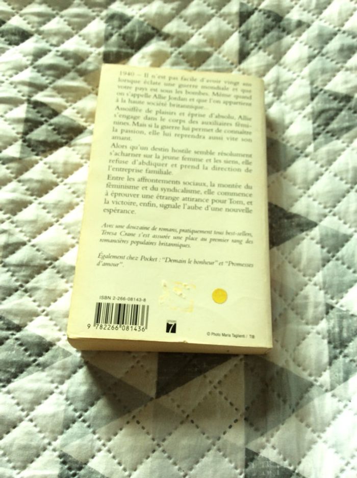 #cet amour si fragile par Teresa Crane - photo numéro 4