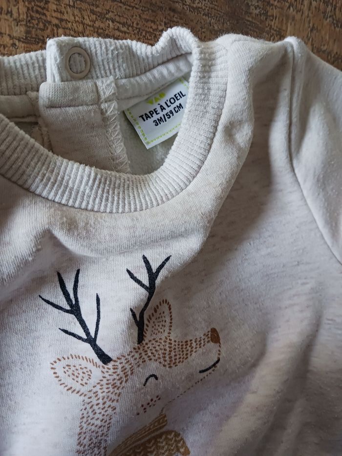 Ensemble - photo numéro 4