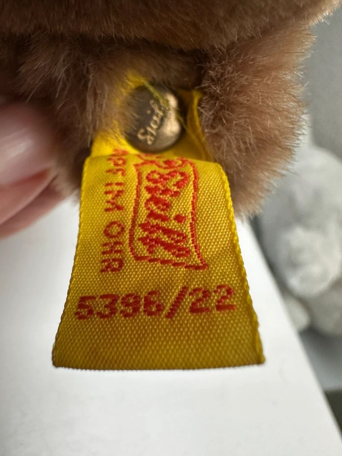 Grand castor - photo numéro 4